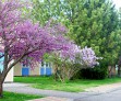 Вилла